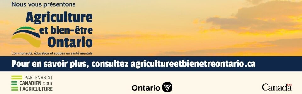 nous vous présentons : Agriculture et bien-être Ontario; une image d'un ciel jaune luxuriant